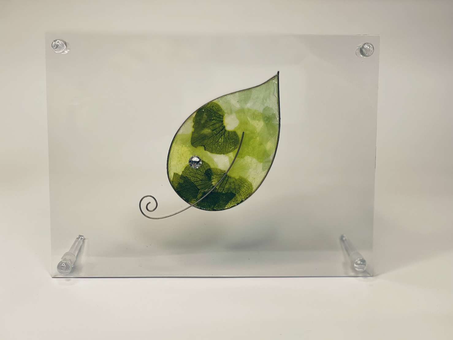 『ステンドフラワー(ステンドグラスのような質感を、本物の花を使って表現する新しいアート)』手作り体験ワークショップ
